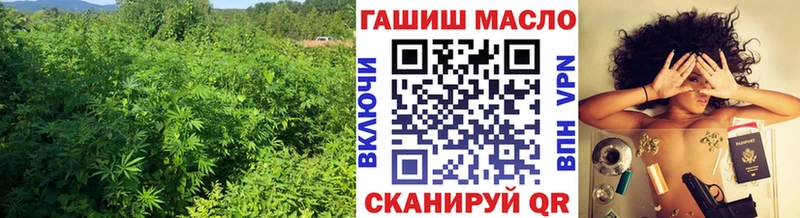 Дистиллят ТГК THC oil Тырныауз
