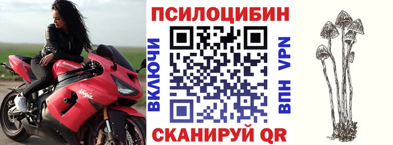 купить наркоту  Тырныауз  Псилоцибиновые грибы прущие грибы 